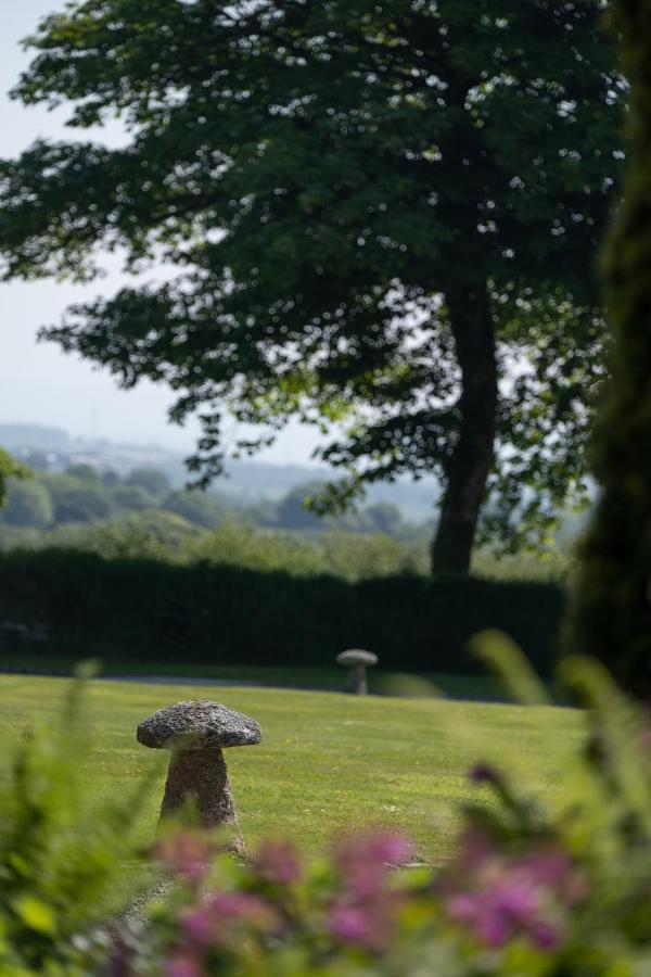 The Lambing Shed, Cornwall Altarnun Екстериор снимка